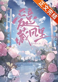 爱意藏风里春风榴火小说免费阅读