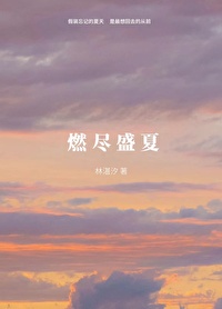 燃尽浪漫小说免费阅读晋江