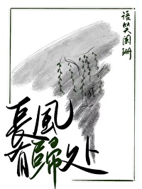 长风有归处TXT网盘下载
