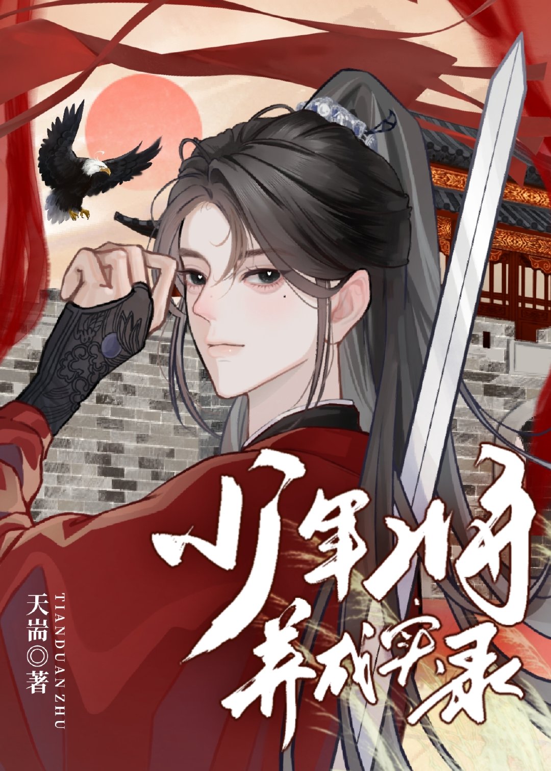 少年将领