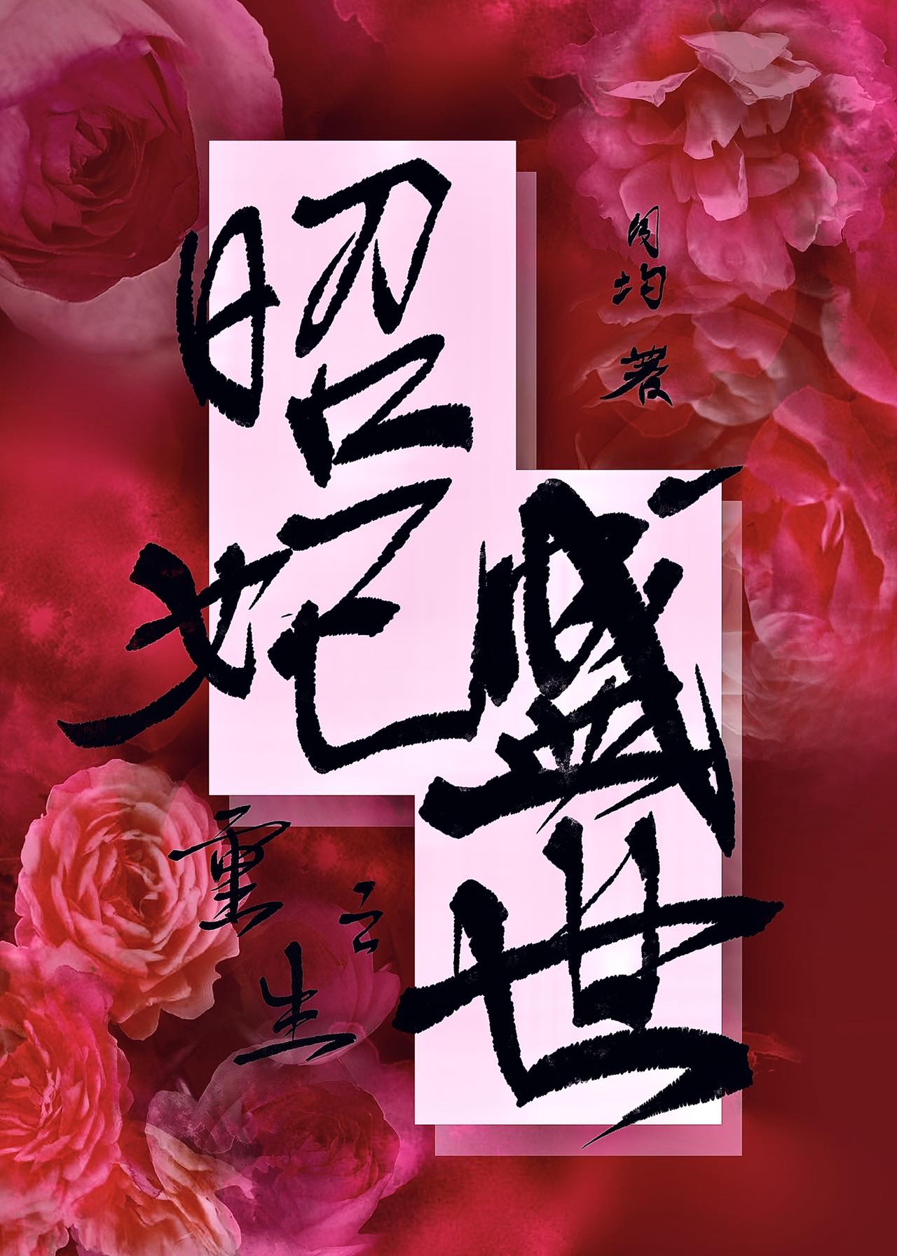 重生之昭阳