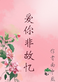 爱你情非得已小说