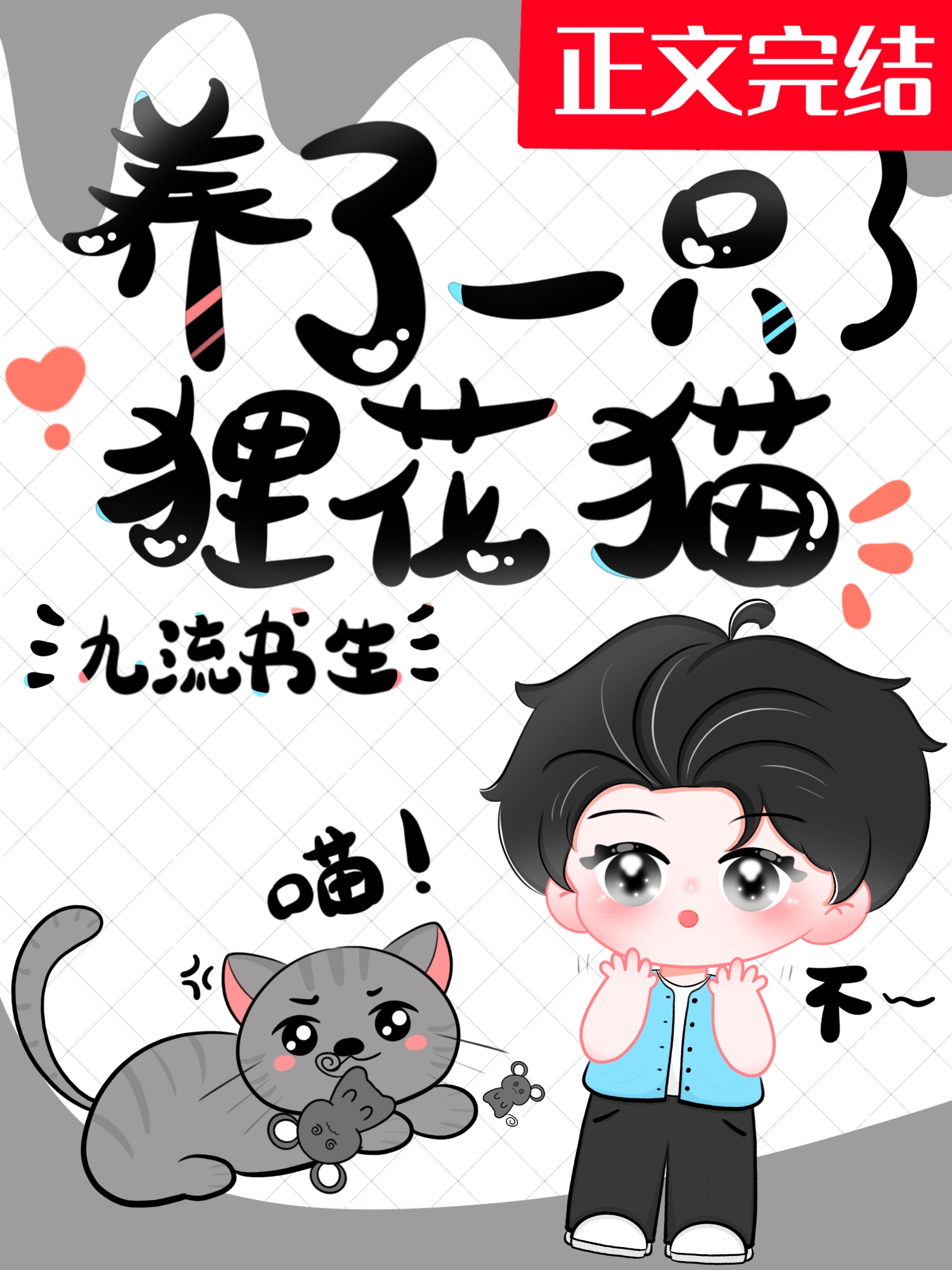 养了一只狸花猫百度云