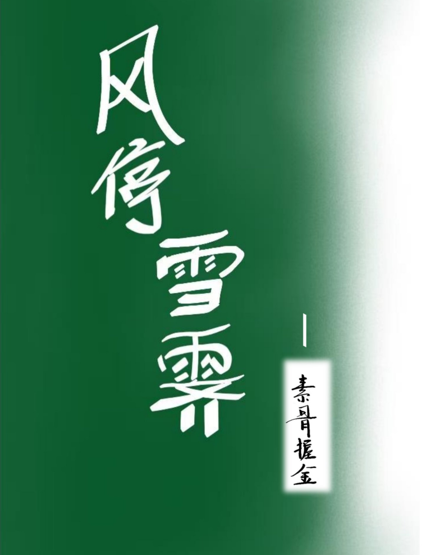 星迹资本