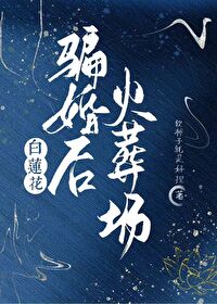 娘子求合作(探案)免费阅读汝慕