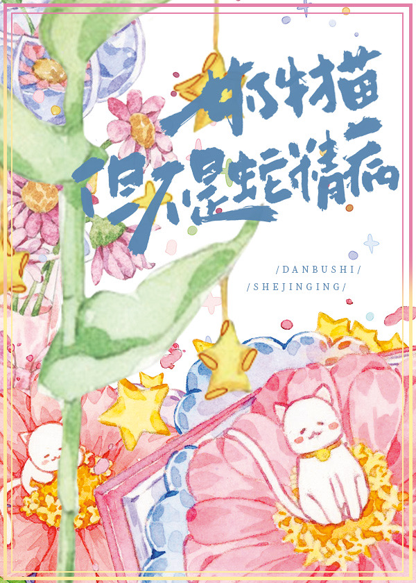 奶牛猫起什么名字好
