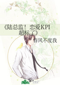 陆总的小说全集