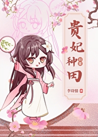 贵妃穿越小说