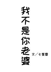 我不是你老婆 小说