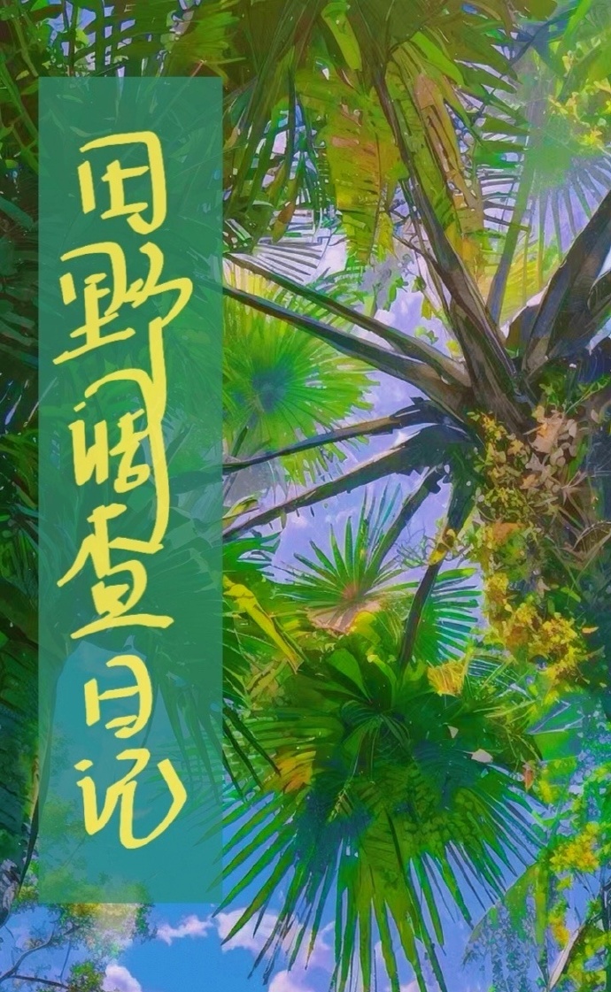 田野调查观察日志