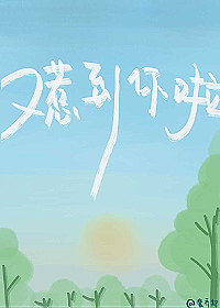 我又惹到你了吗是什么意思