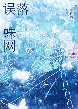 误落蛛网