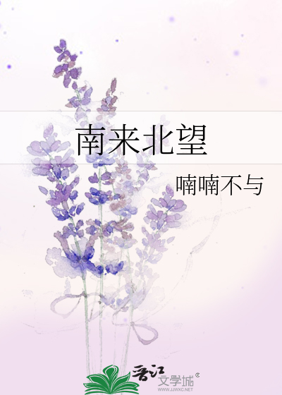 南来北望结局
