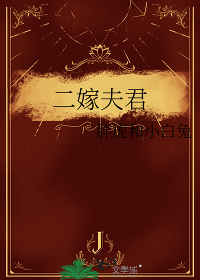 二嫁夫君