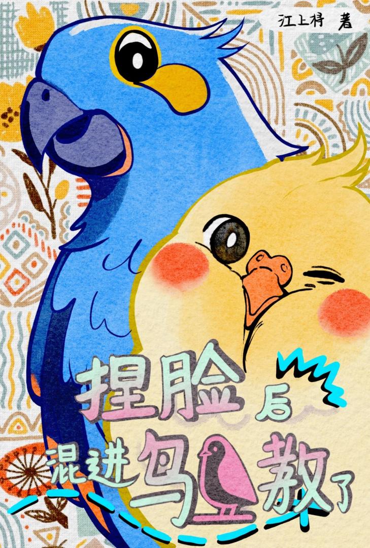 捏脸后混进鸟鸟教了