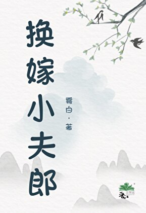 换嫁小夫郎赵景清