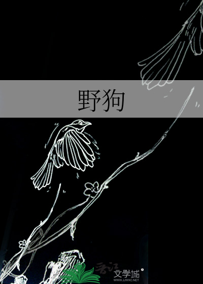 野狗