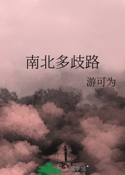 南北多歧路