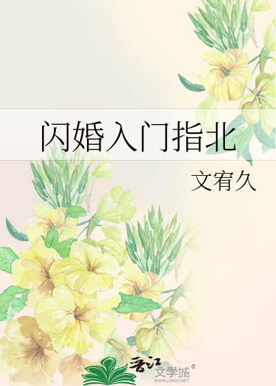 闪婚 全文