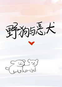 野狗和家狗谁厉害