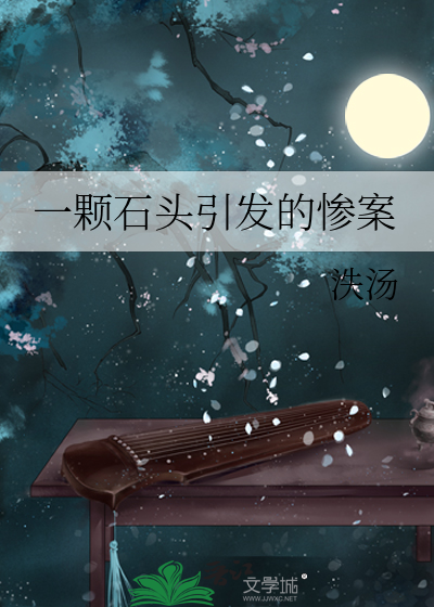 一颗石子的故事