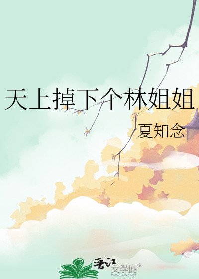 天上掉下个林姐姐全文阅读