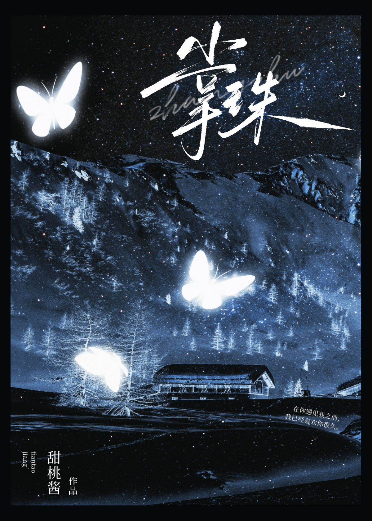 掌珠小说番外