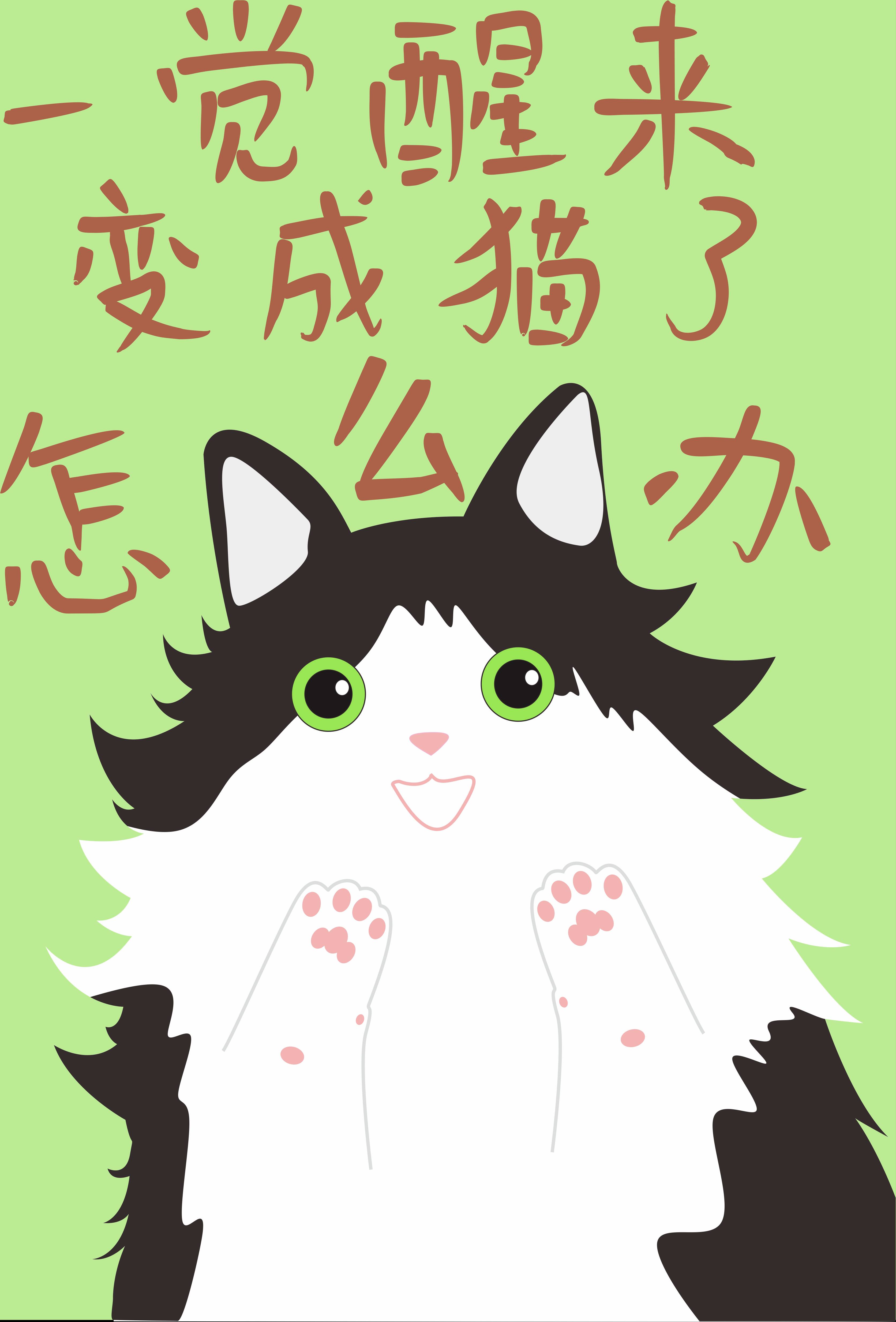 一觉醒来变成猫了怎么办 在线阅读