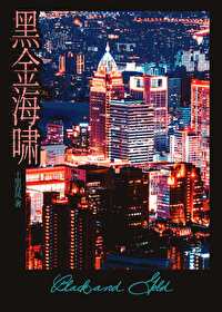 黑金海啸小说