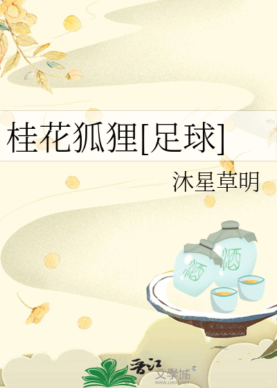 足球狐狸城是谁的球队