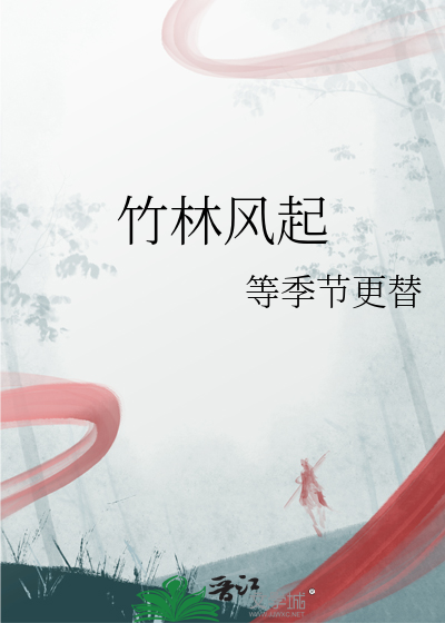 竹林风起歌词含义是什么