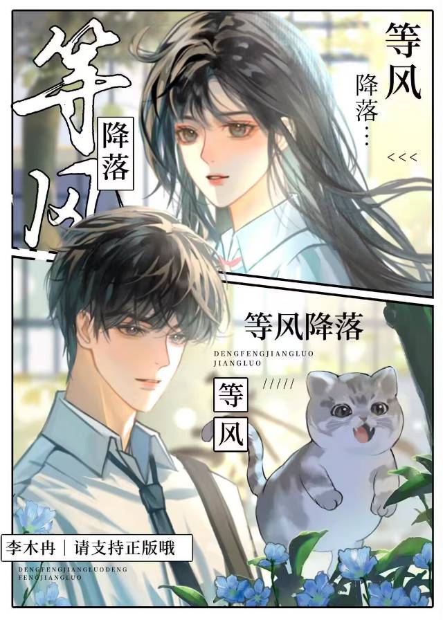 等风降临小说免费阅读全文