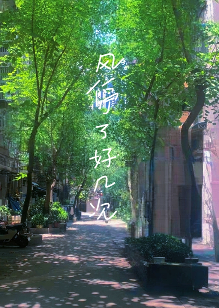 风已经停了很久了