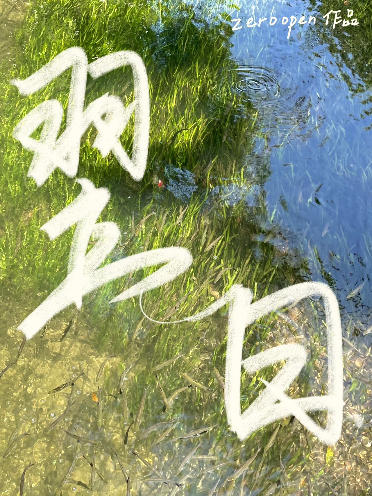 翌日系列全部游戏