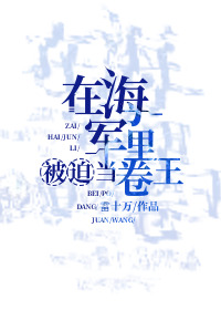 在海贼当海军的小说