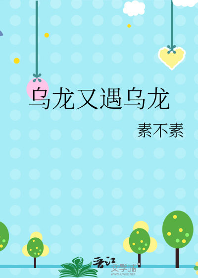 乌龙又遇乌龙小说