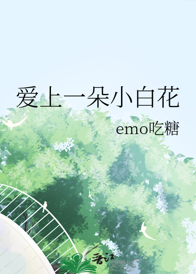 爱上一朵白莲花