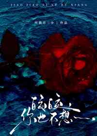皎皎小说by