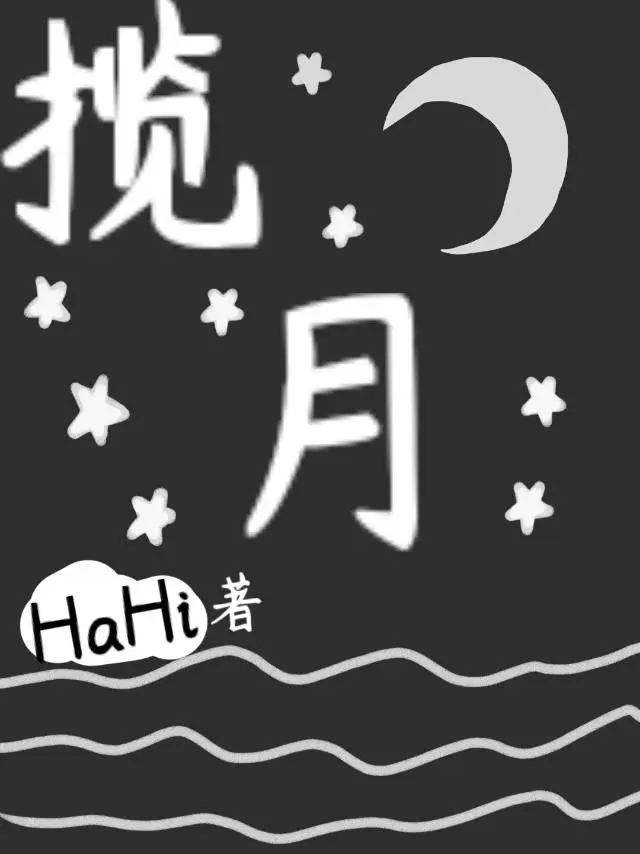 揽月小说