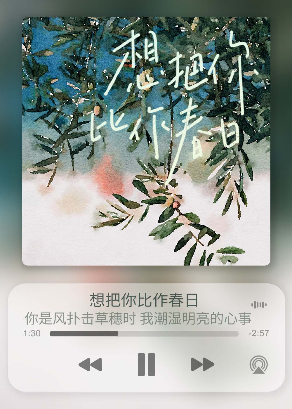 想把你比作春日小说免费阅读