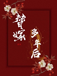 替嫁以后简介