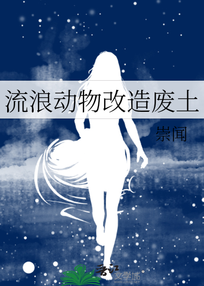 流浪动物建议