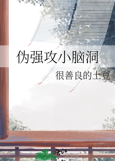 伪攻是什么意思