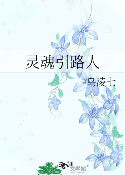 灵魂引路人设定