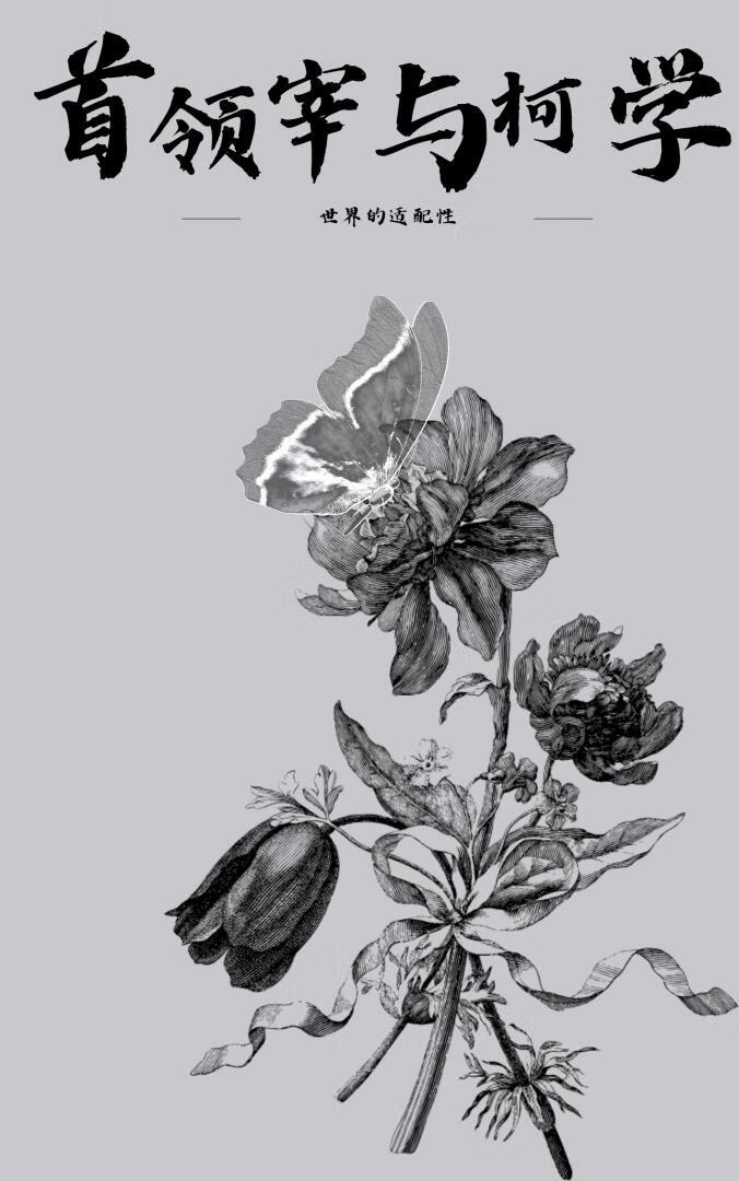 木系异能(星际)