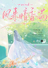 风来暗香满小说
