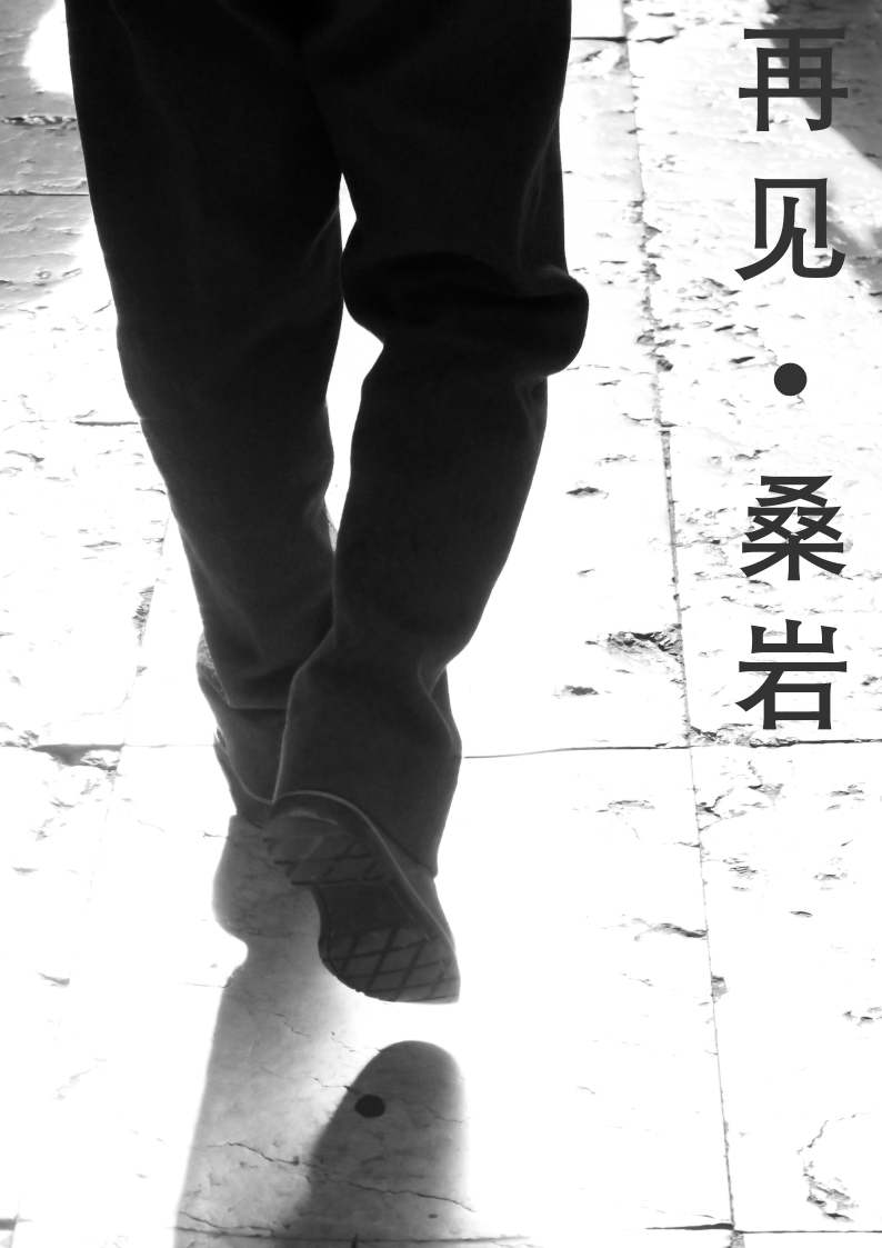 再见——桑岩