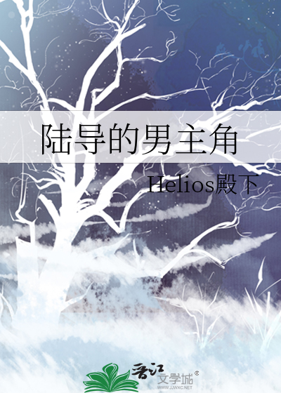 陆导的男主角